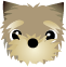 顔-1.gif